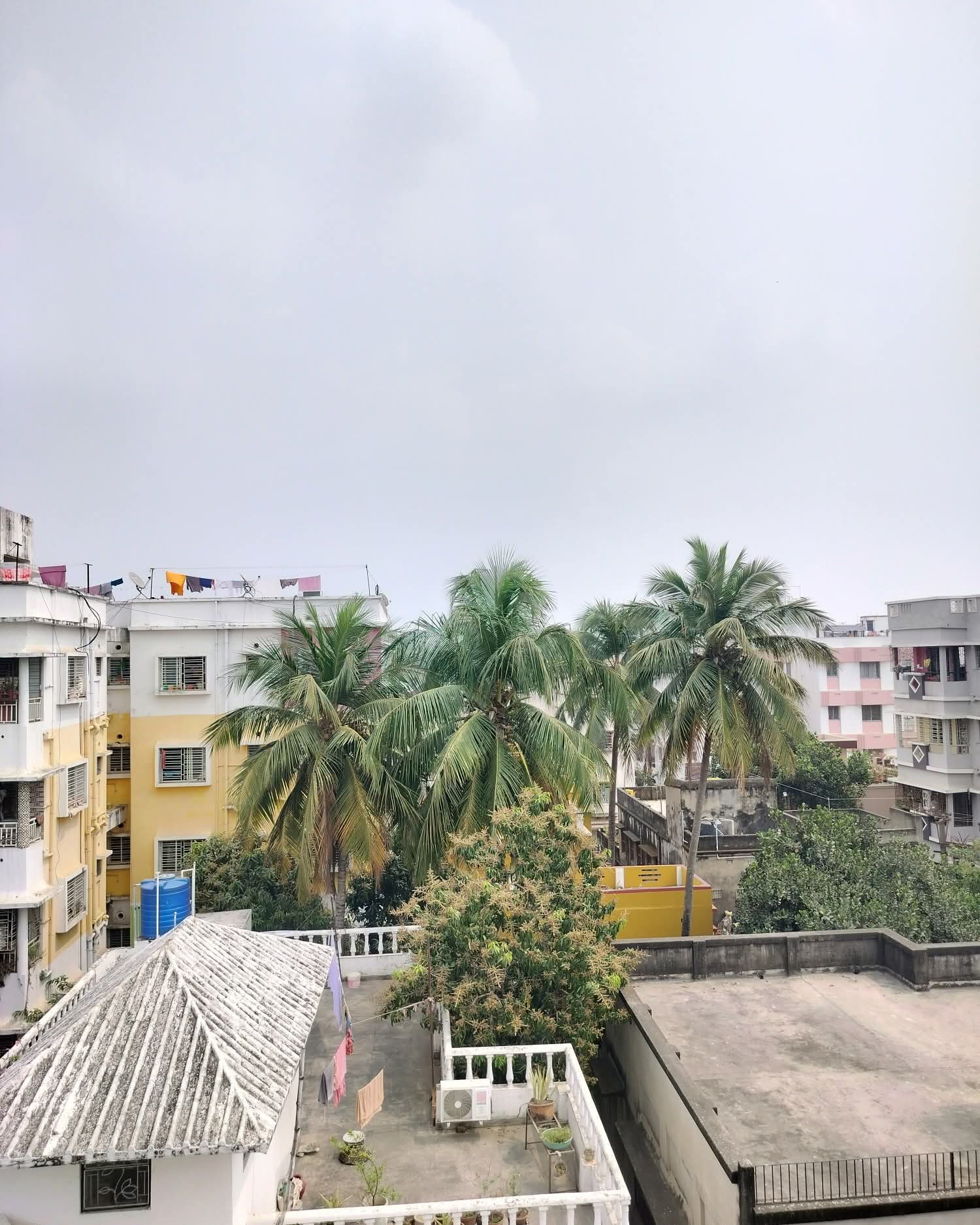Spacious & Modern 3BHK Flat Available in