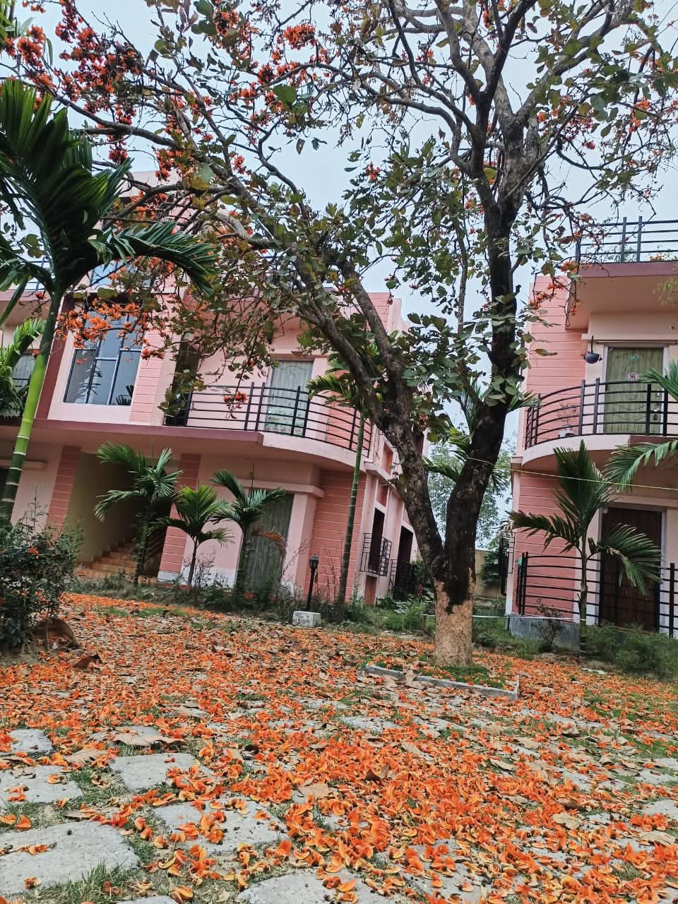 1BHK Studio Apartment in Binuriya | Near Santiniketan | Pool & Temple