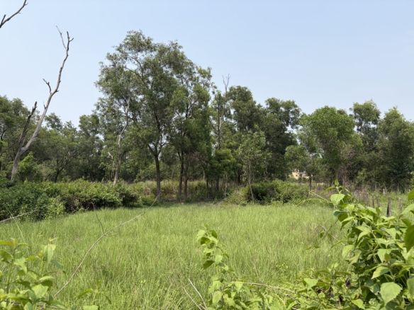 Land / Plot 5 katha for Sale in Santiniketan, Birbhum at ₹20lakhs