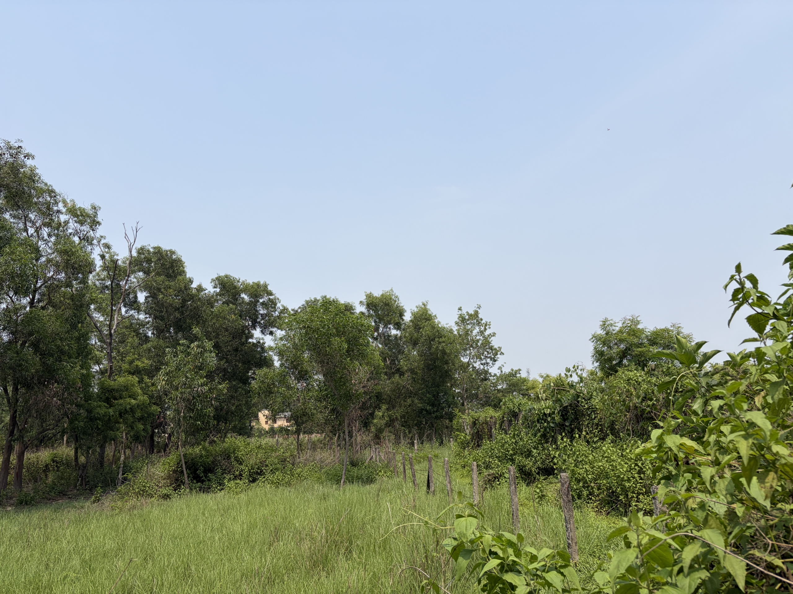 Land / Plot 5 katha for Sale in Santiniketan, Birbhum at ₹20lakhs
