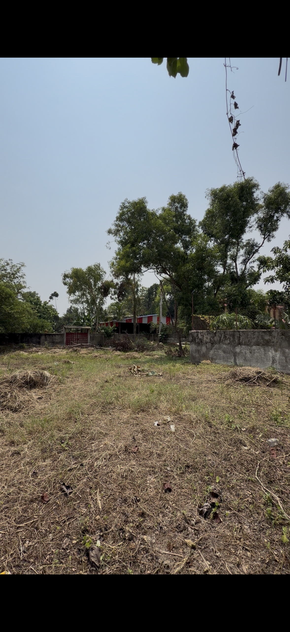 Land / Plot 15 katha for Sale in Prantik, Birbhum at ₹9 lakh/katha