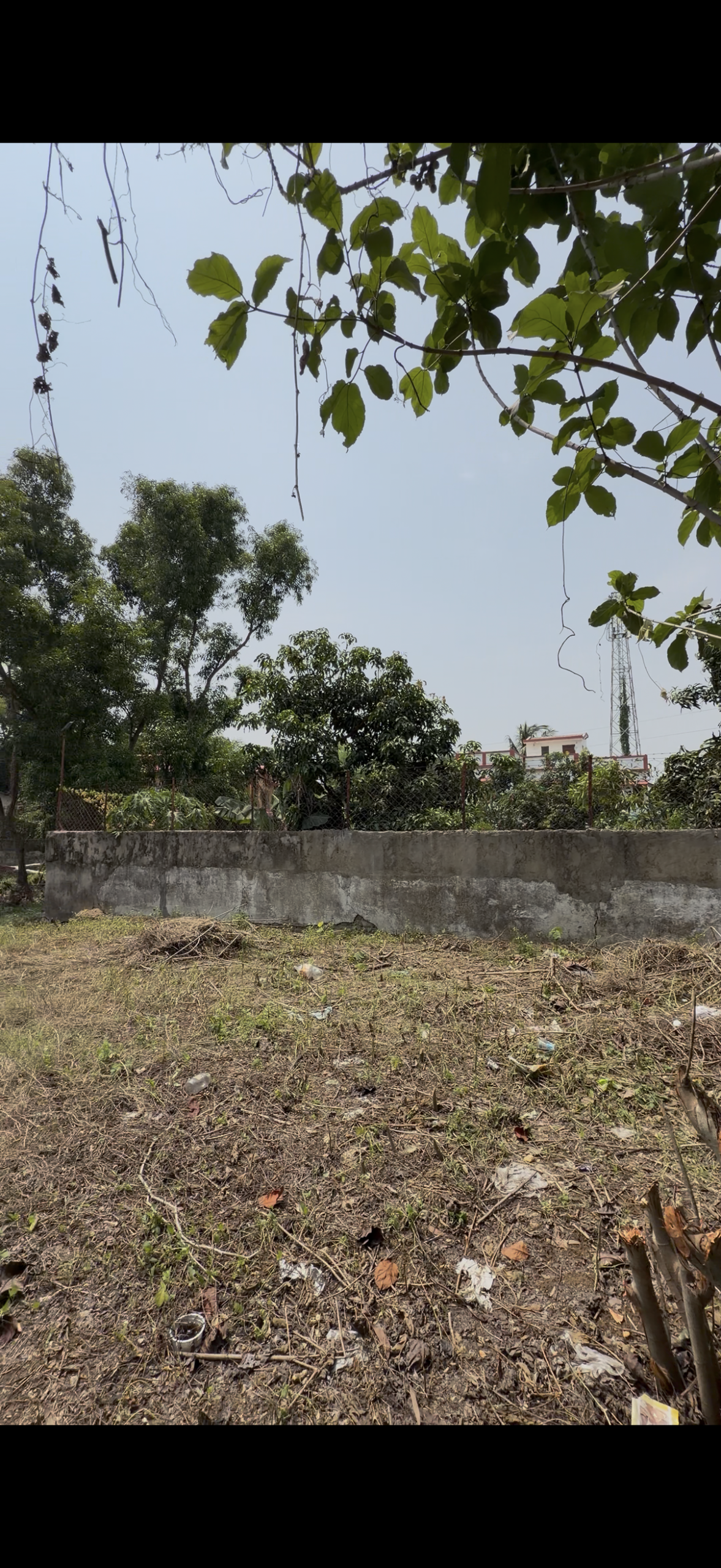 Land / Plot 15 katha for Sale in Prantik, Birbhum at ₹9 lakh/katha