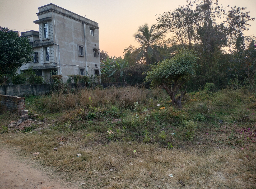 8 katha land for Sale in Prantik, Birbhum at ₹9 lakh/katha