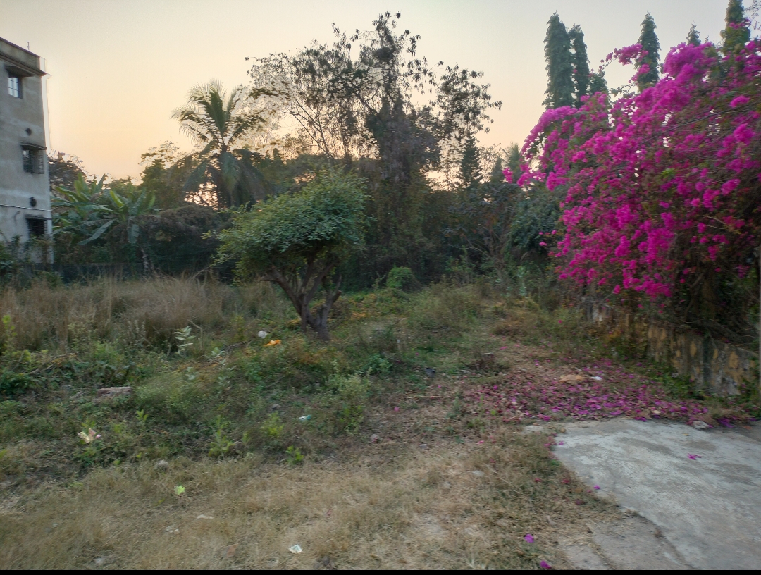 8 katha land for Sale in Prantik, Birbhum at ₹9 lakh/katha