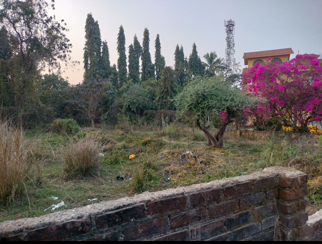 8 katha land for Sale in Prantik, Birbhum at ₹9 lakh/katha