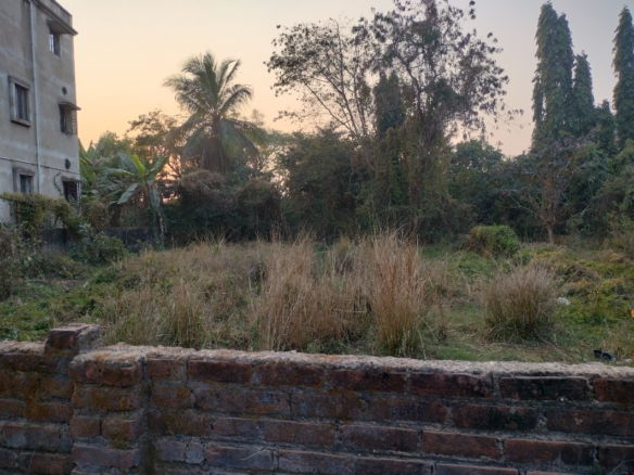8 katha land for Sale in Prantik, Birbhum at ₹9 lakh/katha