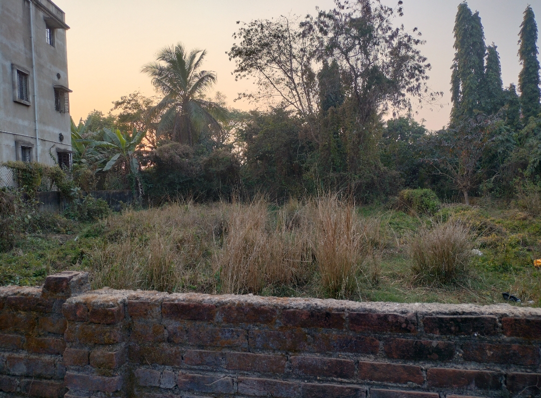 8 katha land for Sale in Prantik, Birbhum at ₹9 lakh/katha