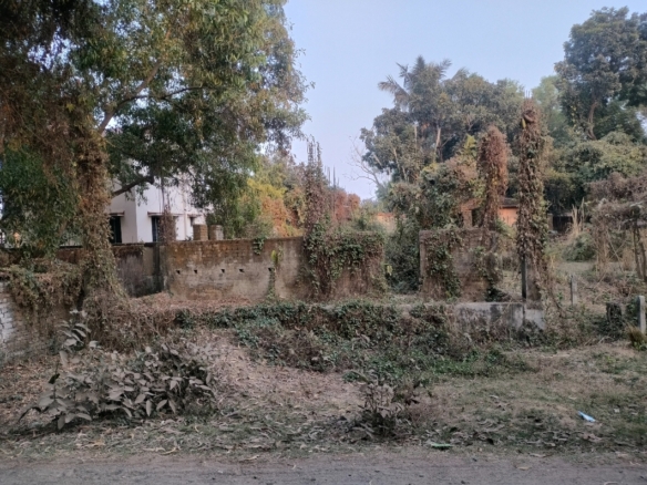 4 katha land for Sale in Prantik, Birbhum at ₹5400000/-