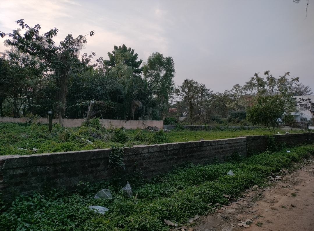 7 katha land for Sale in Prantik, Birbhum at ₹7.5Lakh/katha