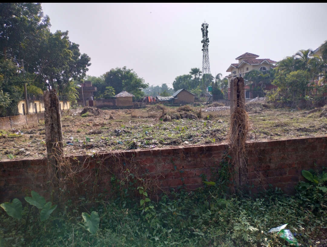 20 katha land for Sale in Prantik, Birbhum at ₹7 lakh/katha