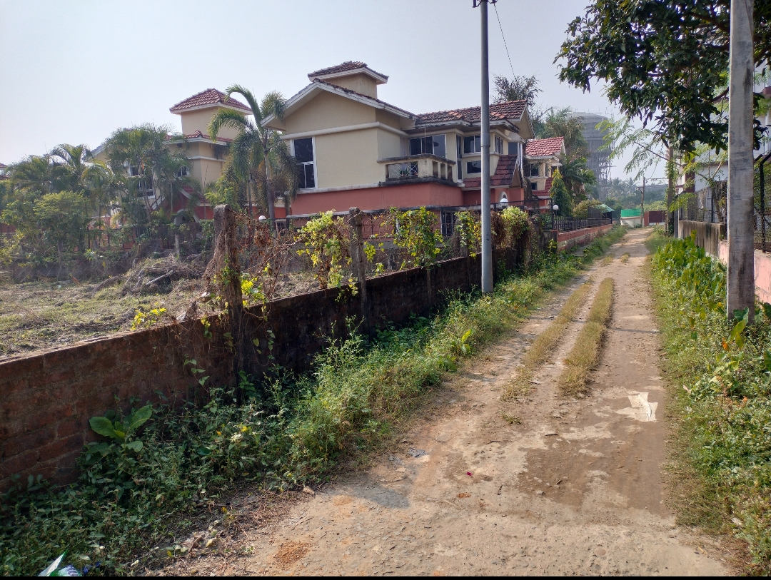 20 katha land for Sale in Prantik, Birbhum at ₹7 lakh/katha