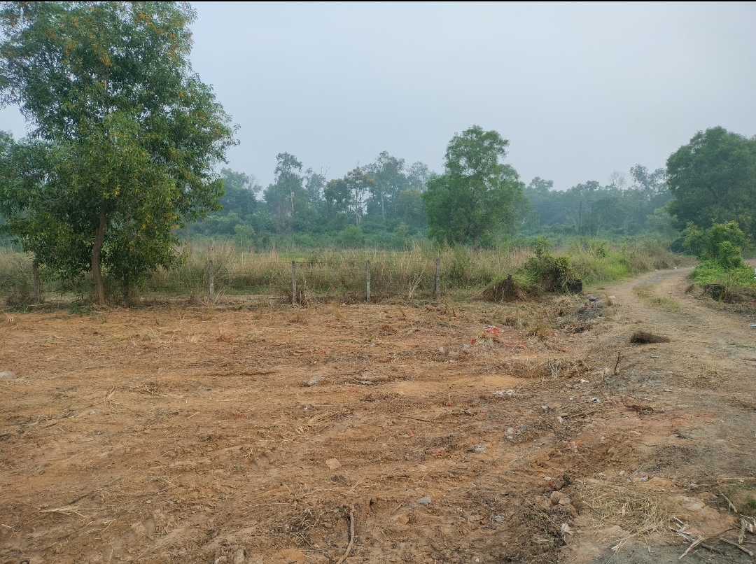 40 katha land for Sale in Sonajhuri, Birbhum at ₹6.5Lakhs/ katha