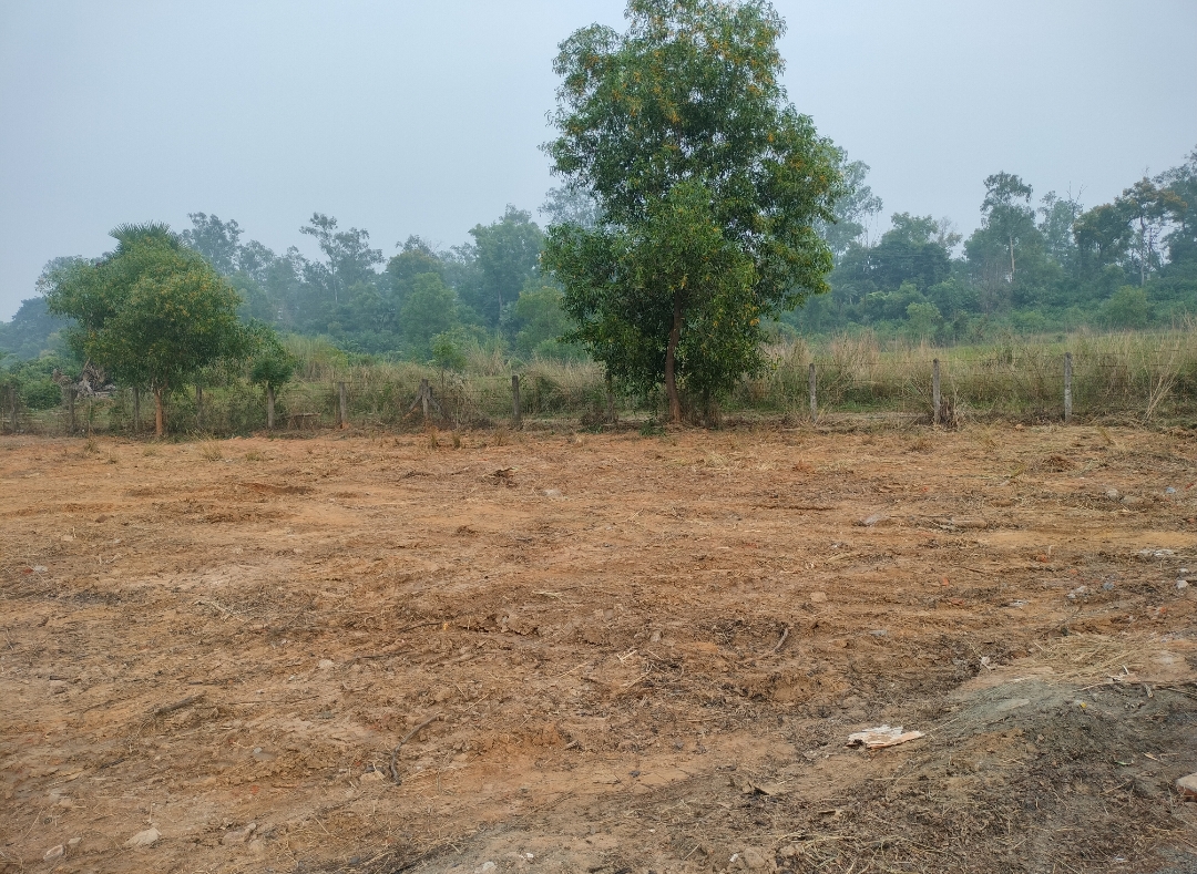 40 katha land for Sale in Sonajhuri, Birbhum at ₹6.5Lakhs/ katha