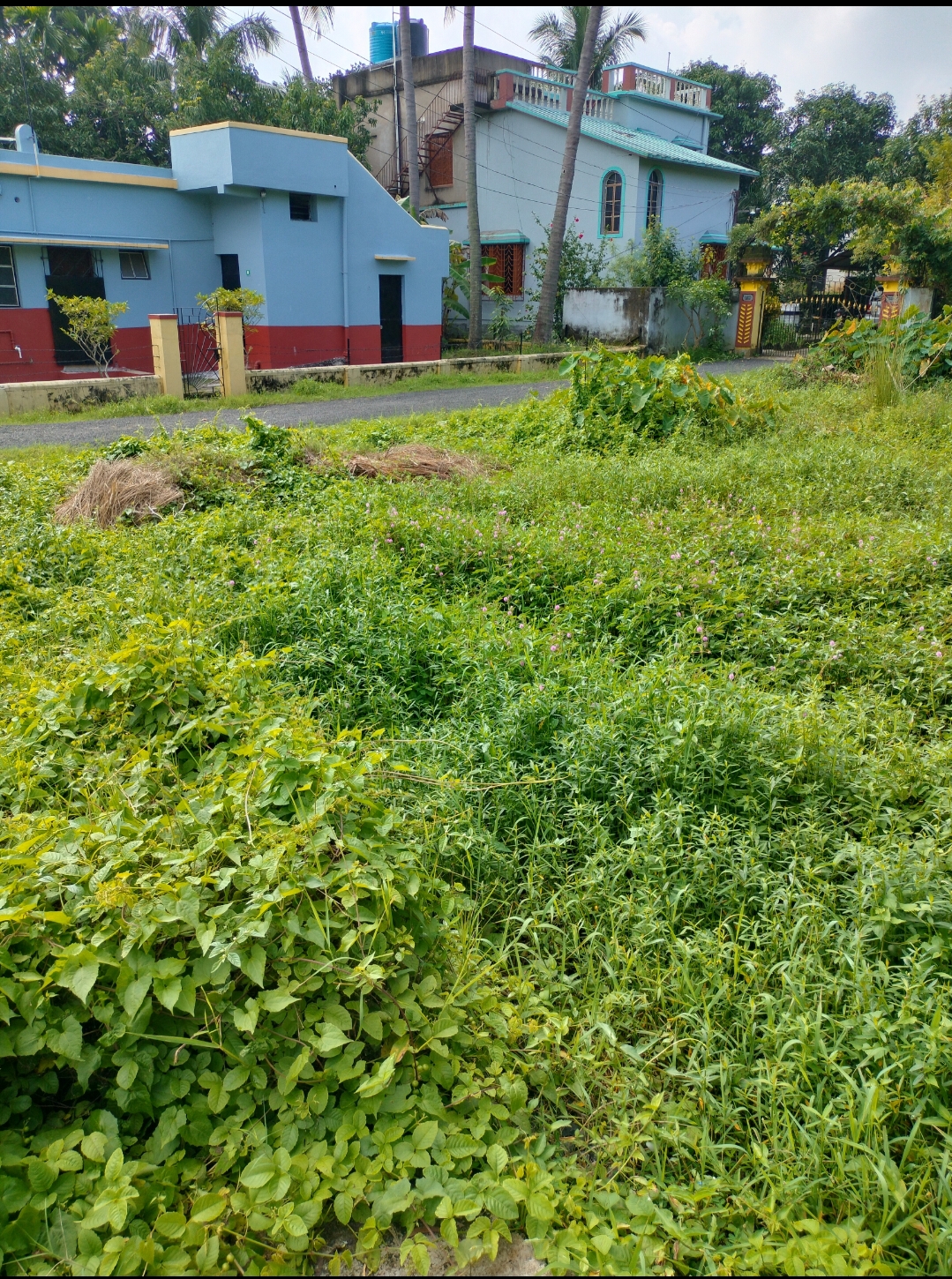 3 katha Land for Sale in Prantik, Birbhum at ₹2700000