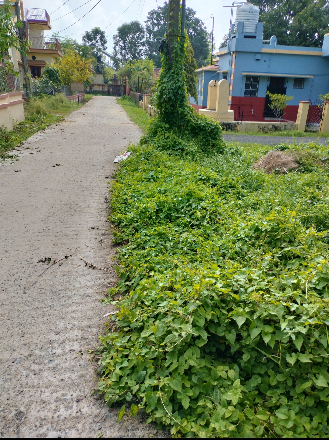 3 katha Land for Sale in Prantik, Birbhum at ₹2700000