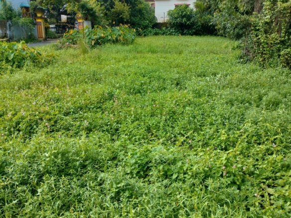 3 katha Land for Sale in Prantik, Birbhum at ₹2700000