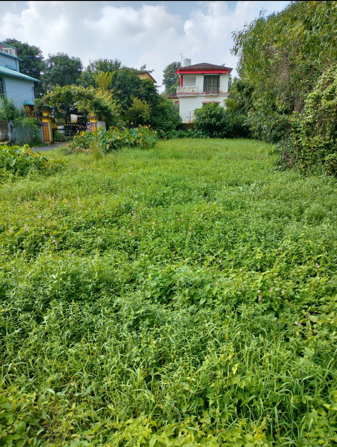 3 katha Land for Sale in Prantik, Birbhum at ₹2700000