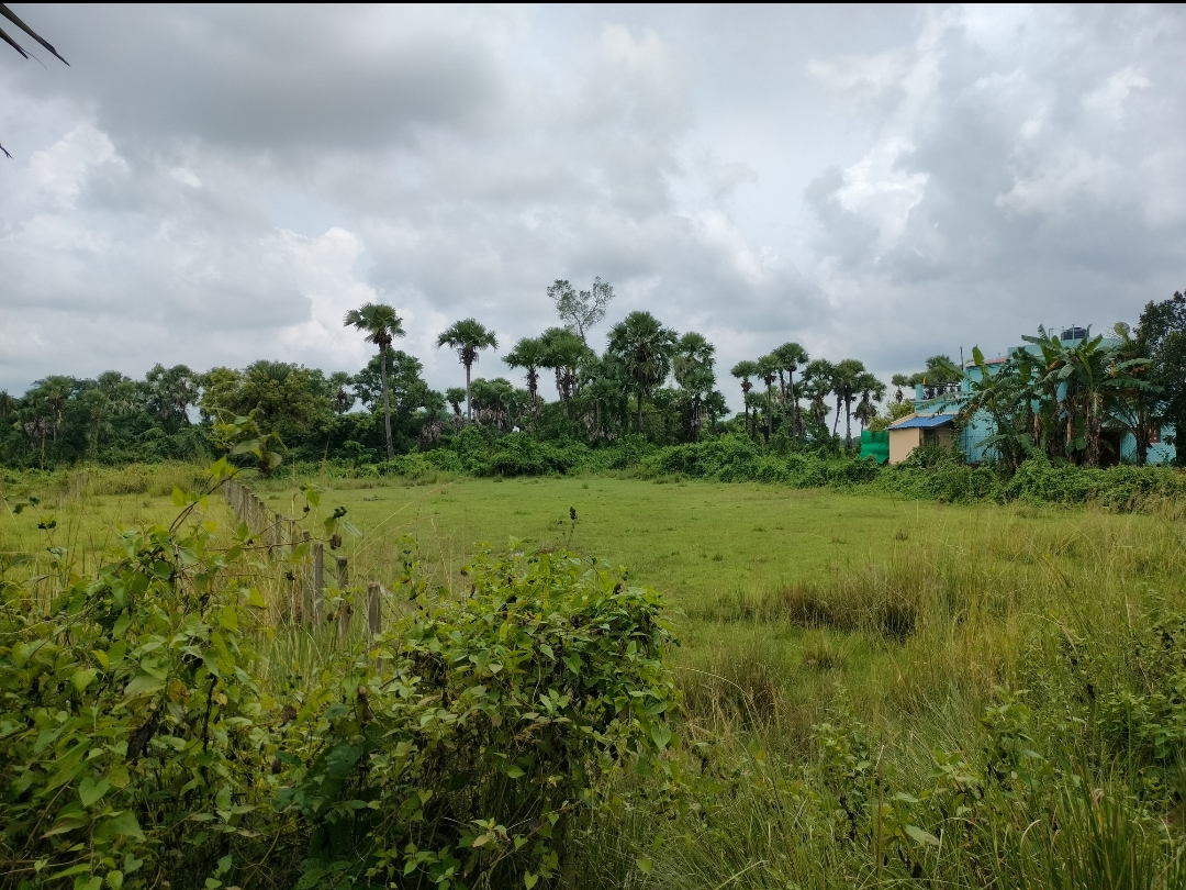 20 katha Land for Sale in Bonovilla, Birbhum at ₹5 lakh/katha