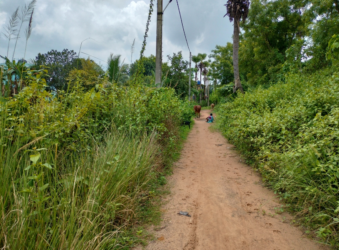 20 katha Land for Sale in Bonovilla, Birbhum at ₹5 lakh/katha