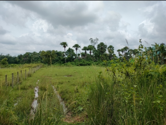 20 katha Land for Sale in Bonovilla, Birbhum at ₹5 lakh/katha