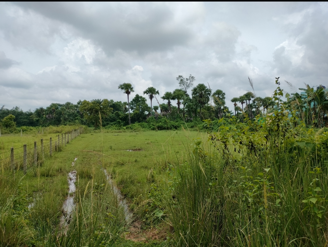20 katha Land for Sale in Bonovilla, Birbhum at ₹5 lakh/katha