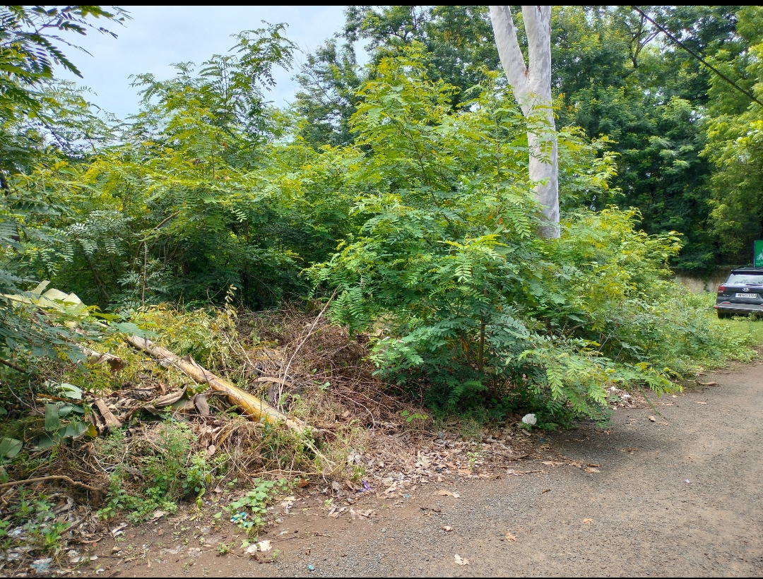 4 katha for Sale in Santiniketan, Birbhum at ₹32Lakhs