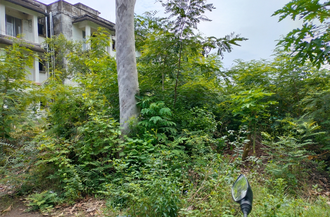 4 katha for Sale in Santiniketan, Birbhum at ₹32Lakhs